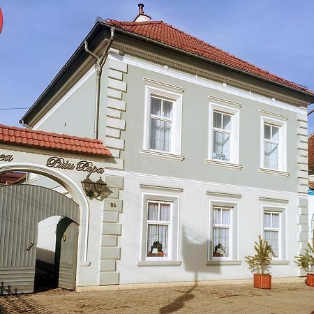 Pensiunea Puiu Popa Кодля Экстерьер фото