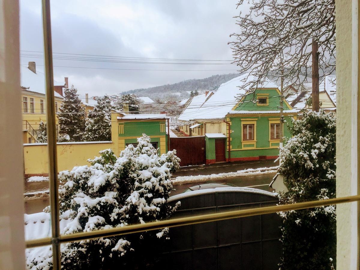 Pensiunea Puiu Popa Кодля Экстерьер фото