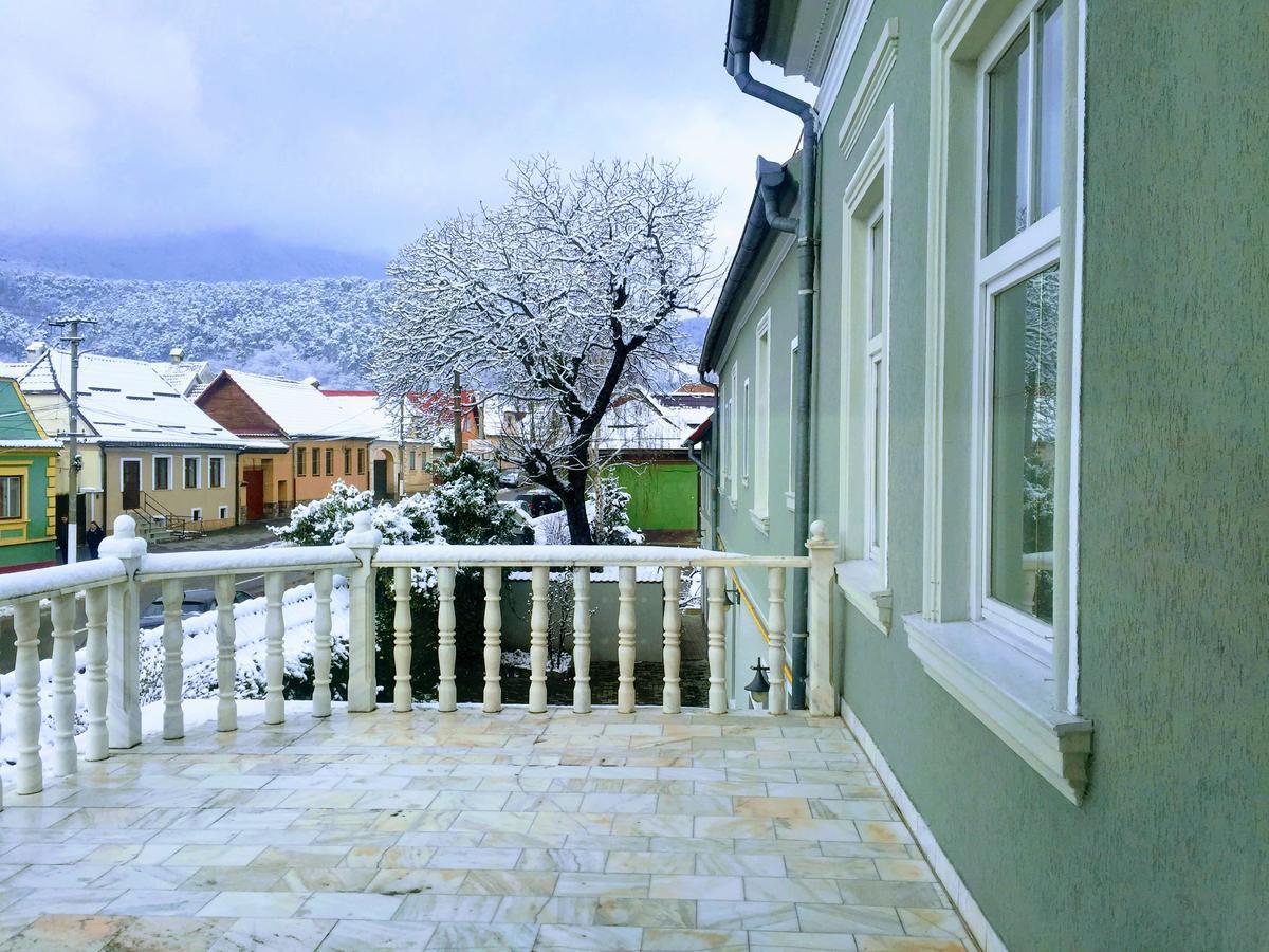 Pensiunea Puiu Popa Кодля Экстерьер фото