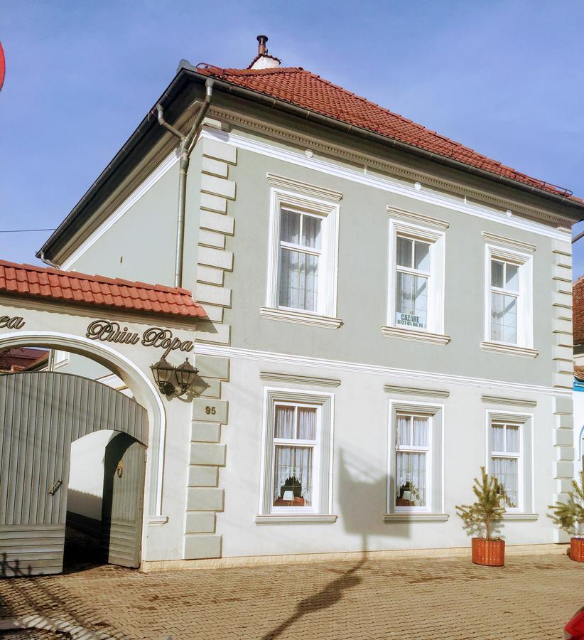 Pensiunea Puiu Popa Кодля Экстерьер фото