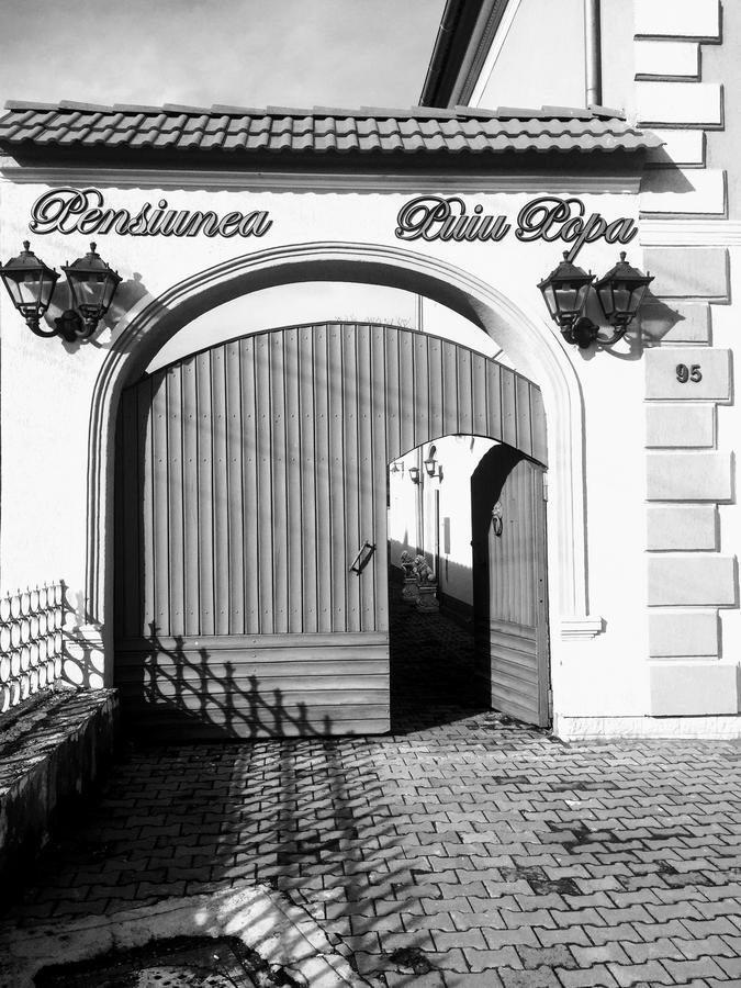 Pensiunea Puiu Popa Кодля Экстерьер фото