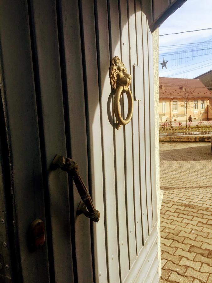 Pensiunea Puiu Popa Кодля Экстерьер фото